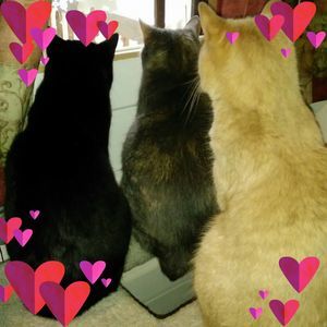 Meet your Posher, Leslie